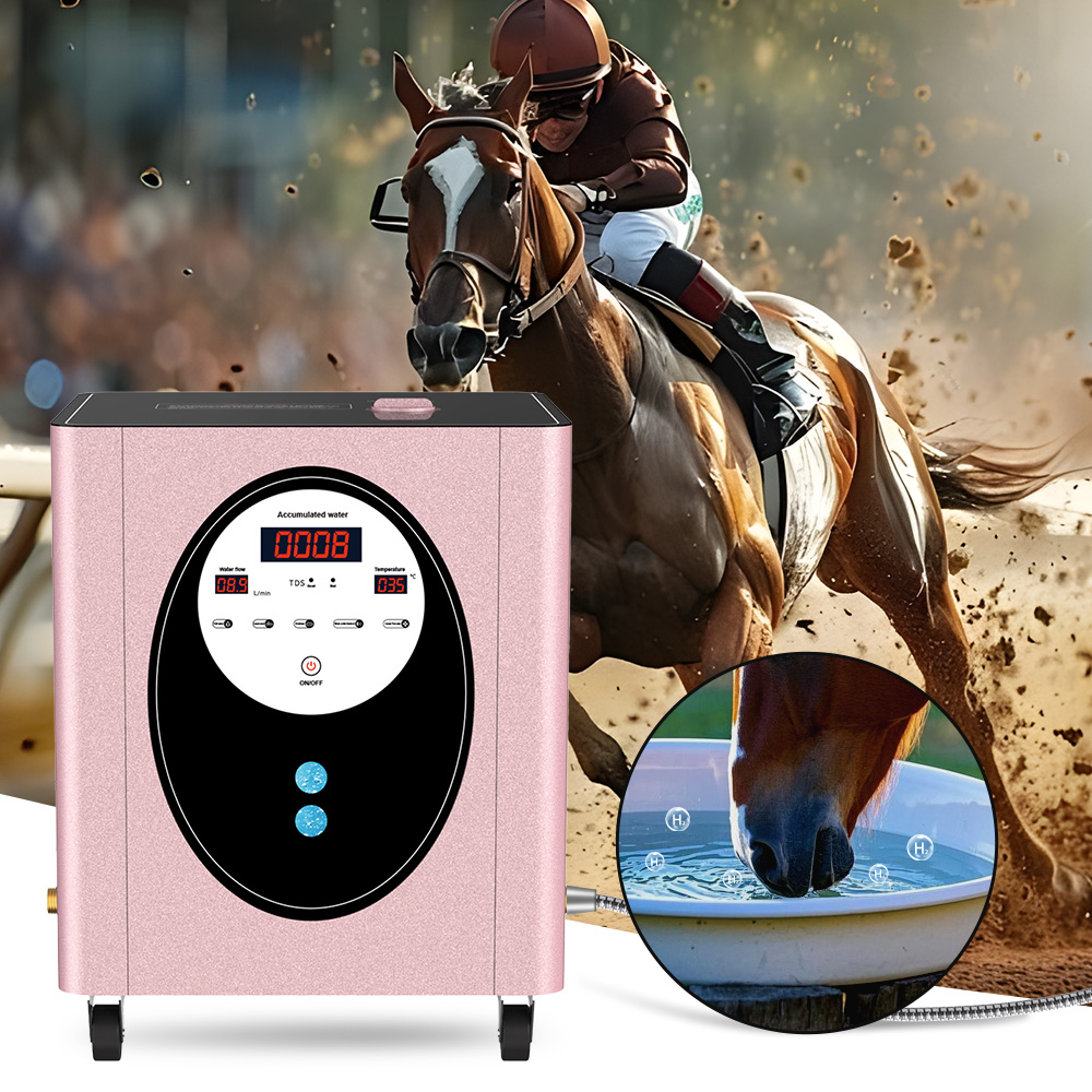 Health Wellness And Spa - SUYZEKO Whole House Hydrogen Water Machine